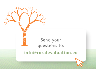 Email Us Your Queries