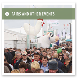 Fairs and Show