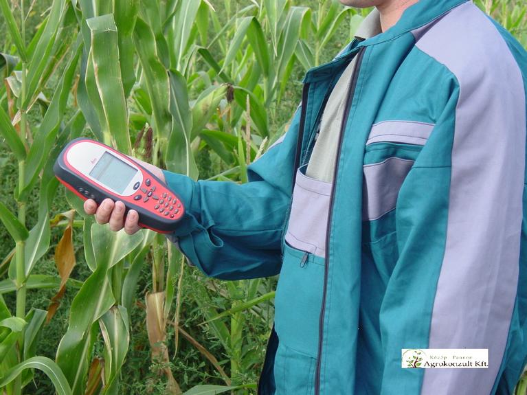 advisor measures cornfield area_.jpg