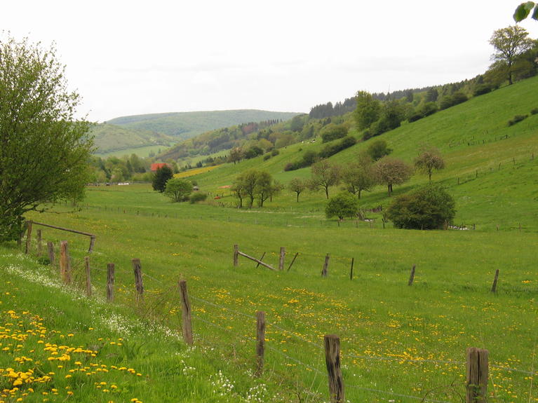 landscape extensive grassland (c) Jan Freese DVS Germany.JPG