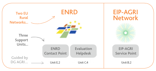 ENRD Networks